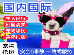 丽江三义机场空运国际宠物托运 【国